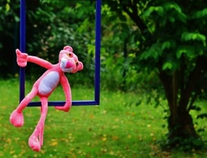 pink animal plush toy and blue frame thumbnail