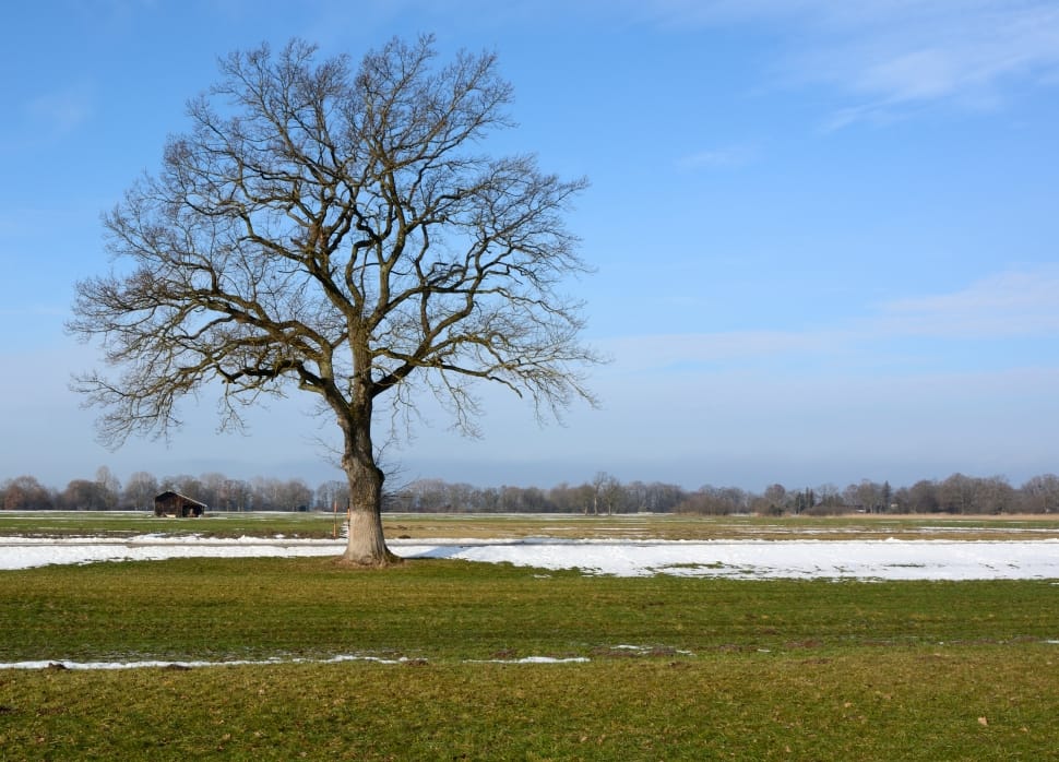 green grass field free image peakpx peakpx