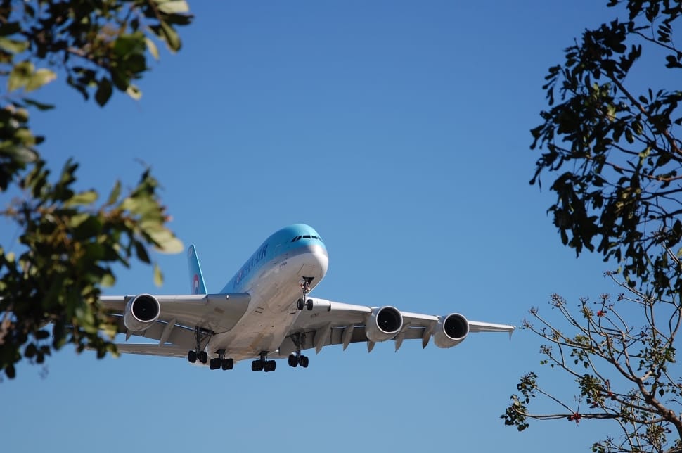 Plane, Landing, Air, Airplane, Flight, flying, airplane preview