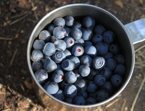 blueberries stack thumbnail