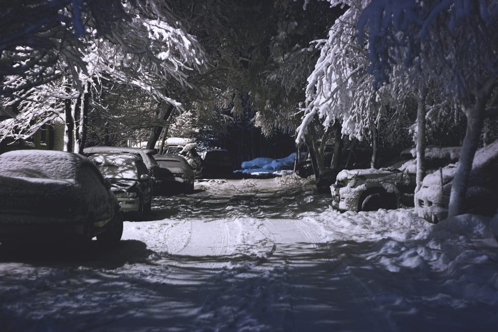 cars covered with snow during nighttime preview