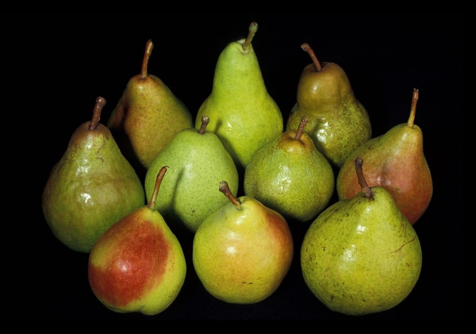 pear lot preview