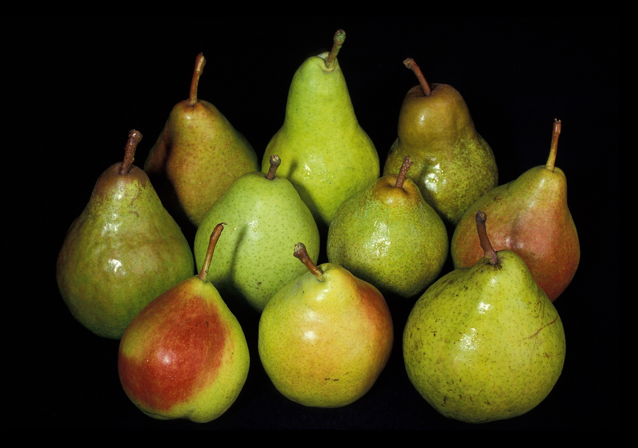 pear lot