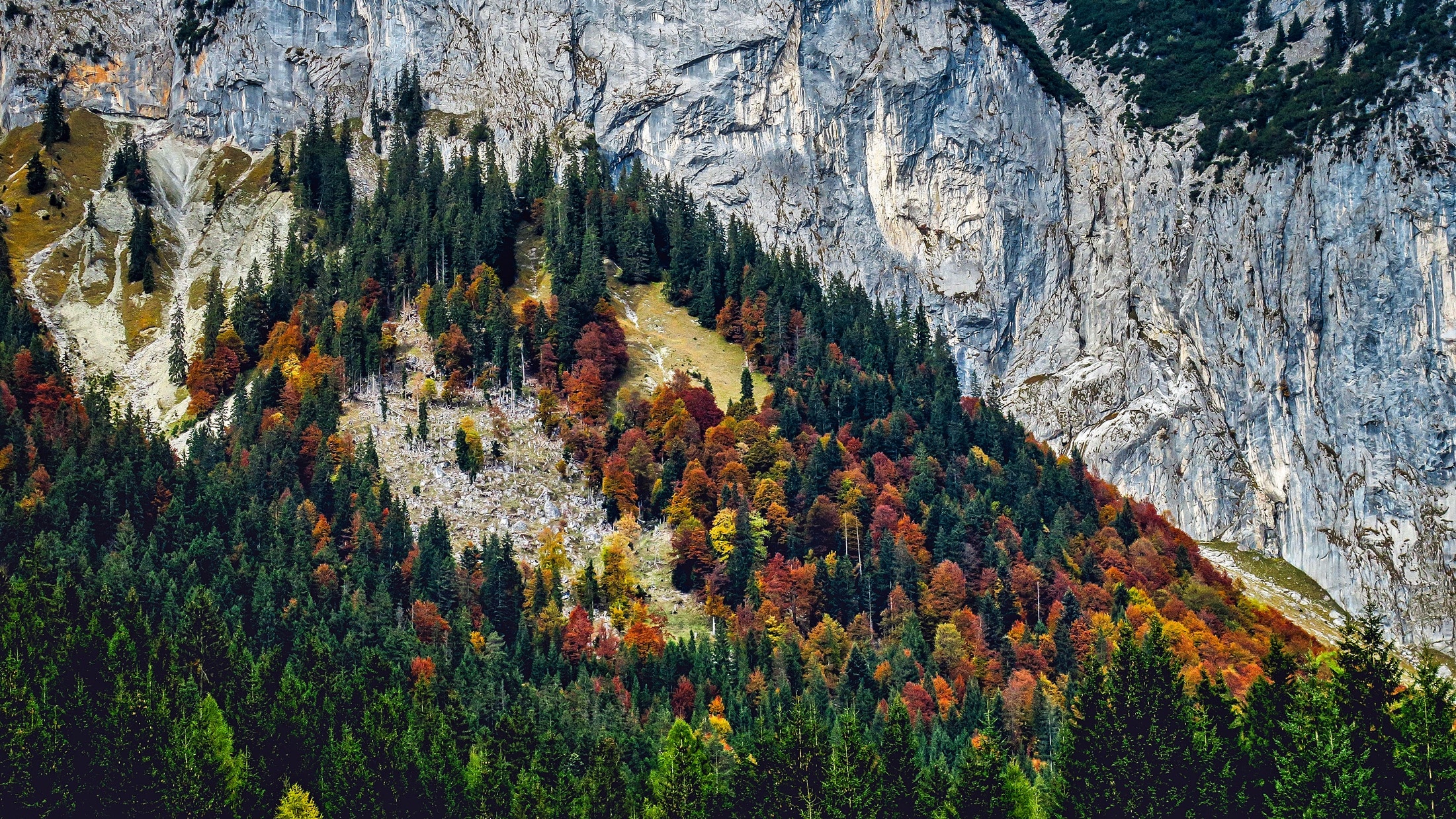 1920x1080 Wallpaper Aerial Photo Of Forest Peakpx