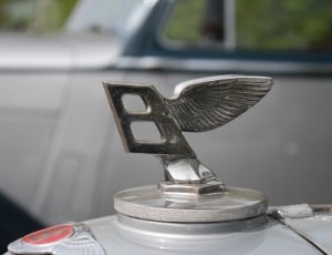 gray metal car decor with wings thumbnail