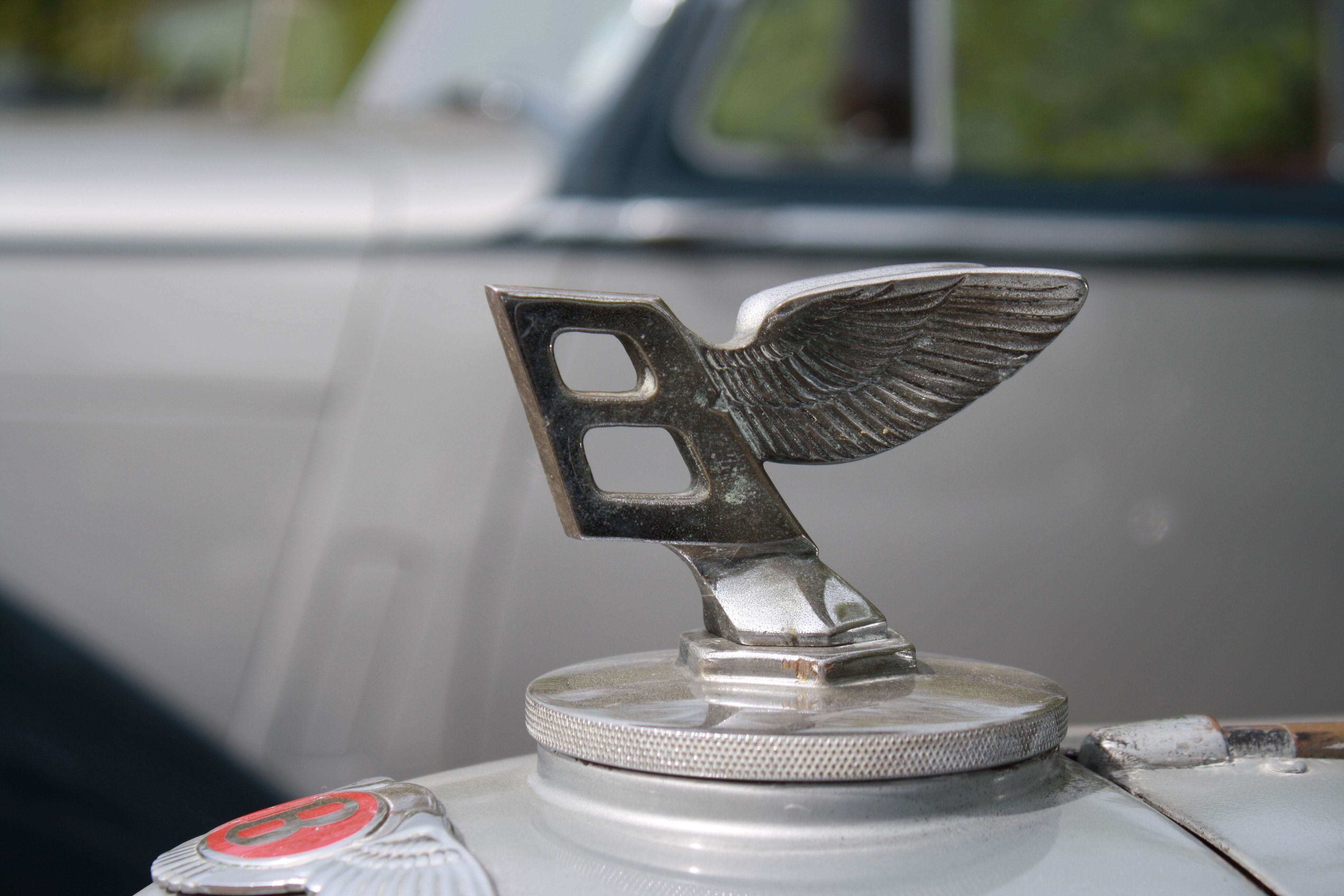 gray metal car decor with wings