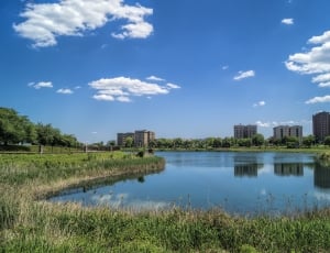 city buildings near body of water surrounded by green grass and green leaved trees under blue and white cloudy sky during daytime thumbnail