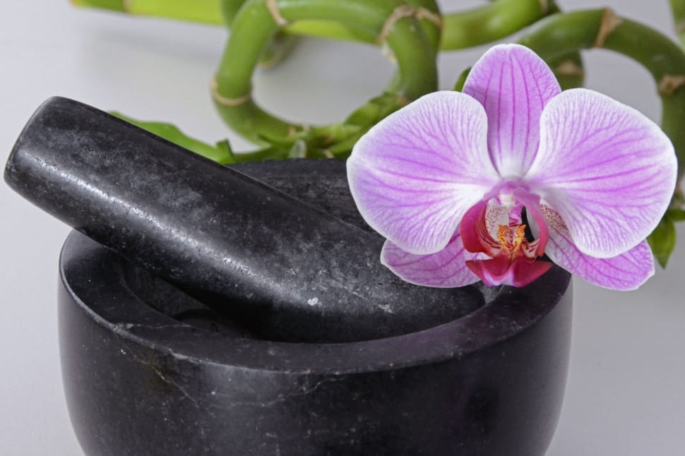 purple orchid and brown wooden mortar and pestle preview