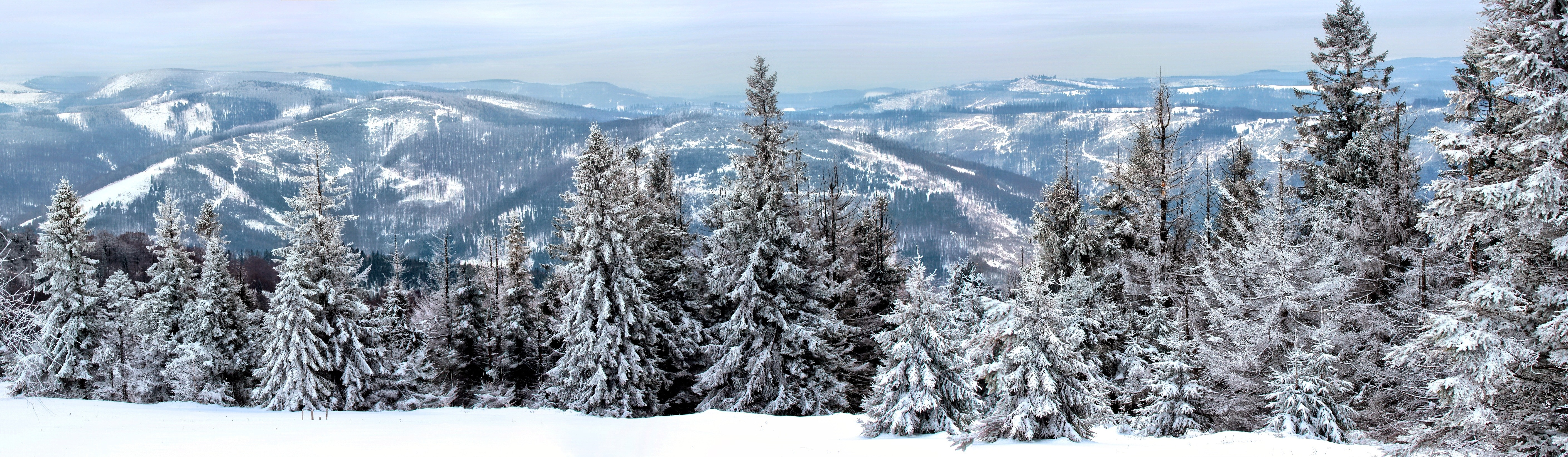 Mountains, Tree, Landscape, Snow, Winter, snow, winter