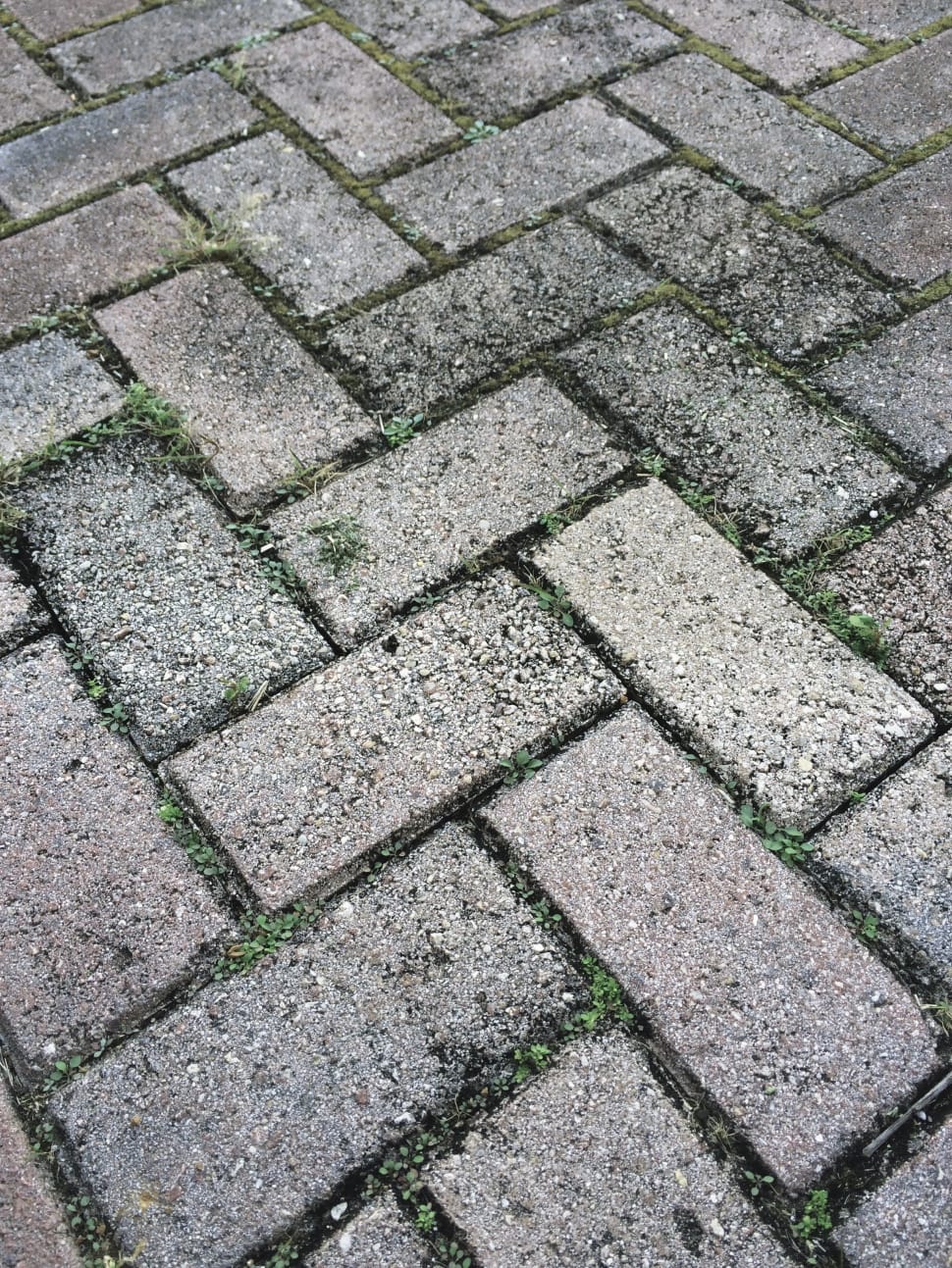 gray concrete bricks flooring preview
