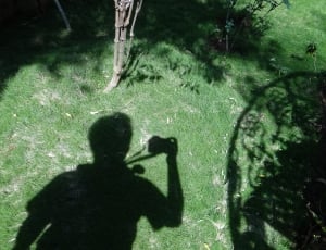 Human, Shadows, Photographer, Lawns, photographing, photography themes thumbnail