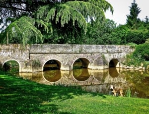 River, Bridge, Arches, Ploermel, Stone, green color, grass thumbnail