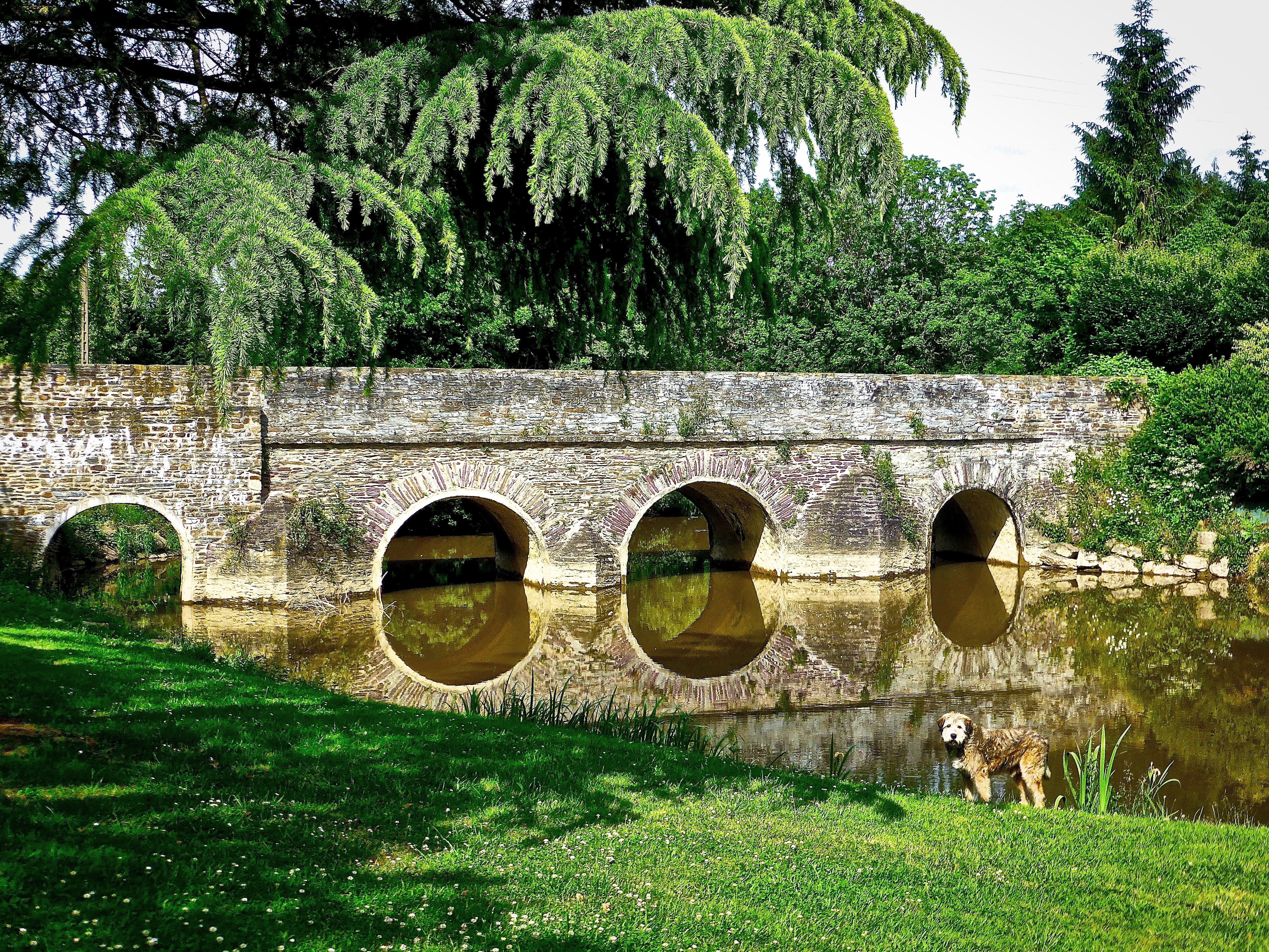 River, Bridge, Arches, Ploermel, Stone, green color, grass