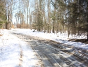Winter Road, Snow, Snowy, Country, Drive, forest, nature thumbnail
