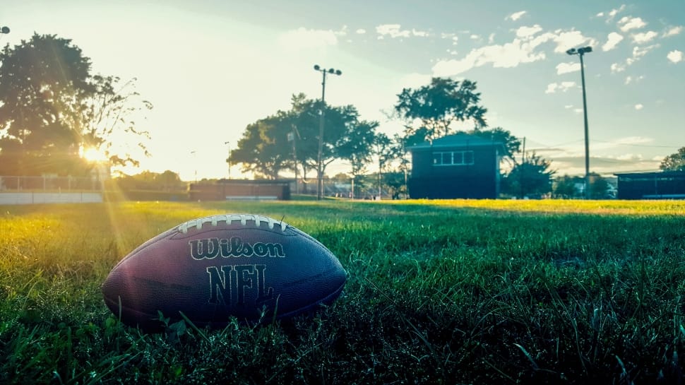 Wilson Nfl Pigskin Football Free Image Peakpx