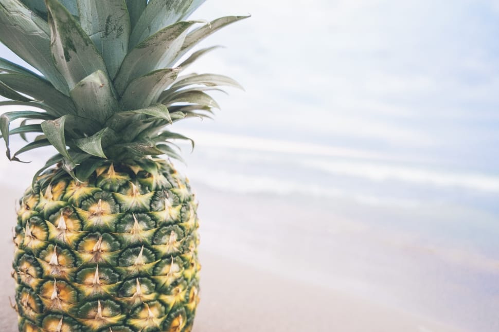 shallow focus photography of yellow and green pineapple beside body of water preview