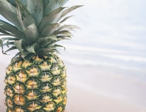 shallow focus photography of yellow and green pineapple beside body of water thumbnail