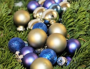 Star, Poinsettia, Background, Christmas, christmas, christmas decoration thumbnail