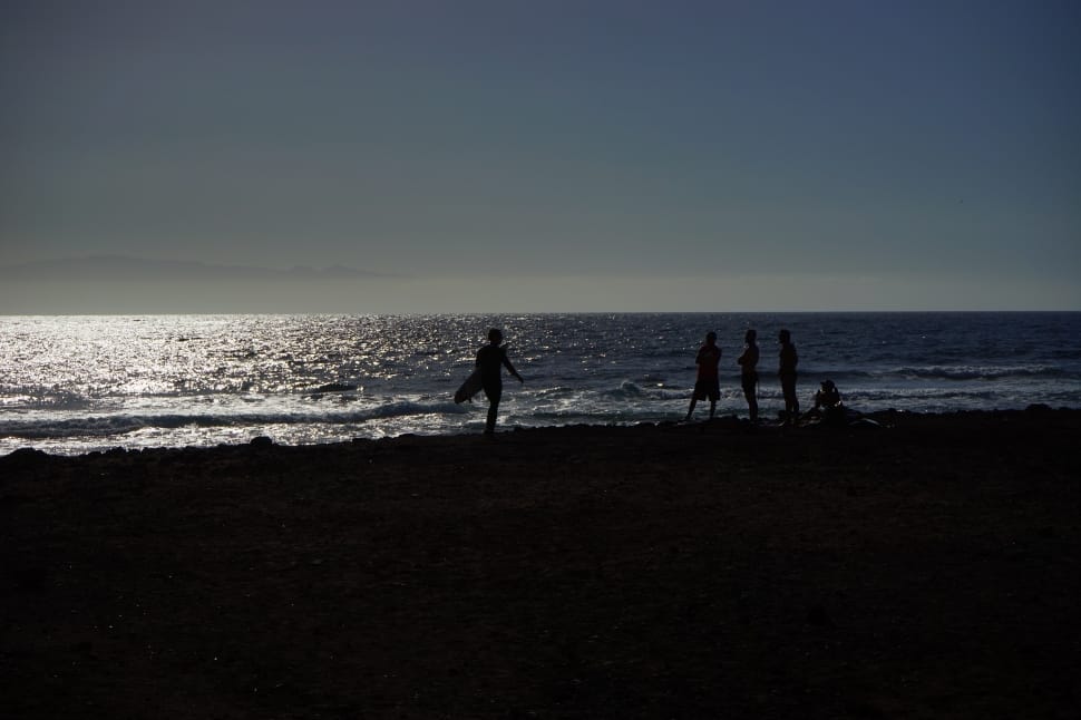 silhouette of 5 people near sea water preview