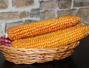 corn cob thumbnail