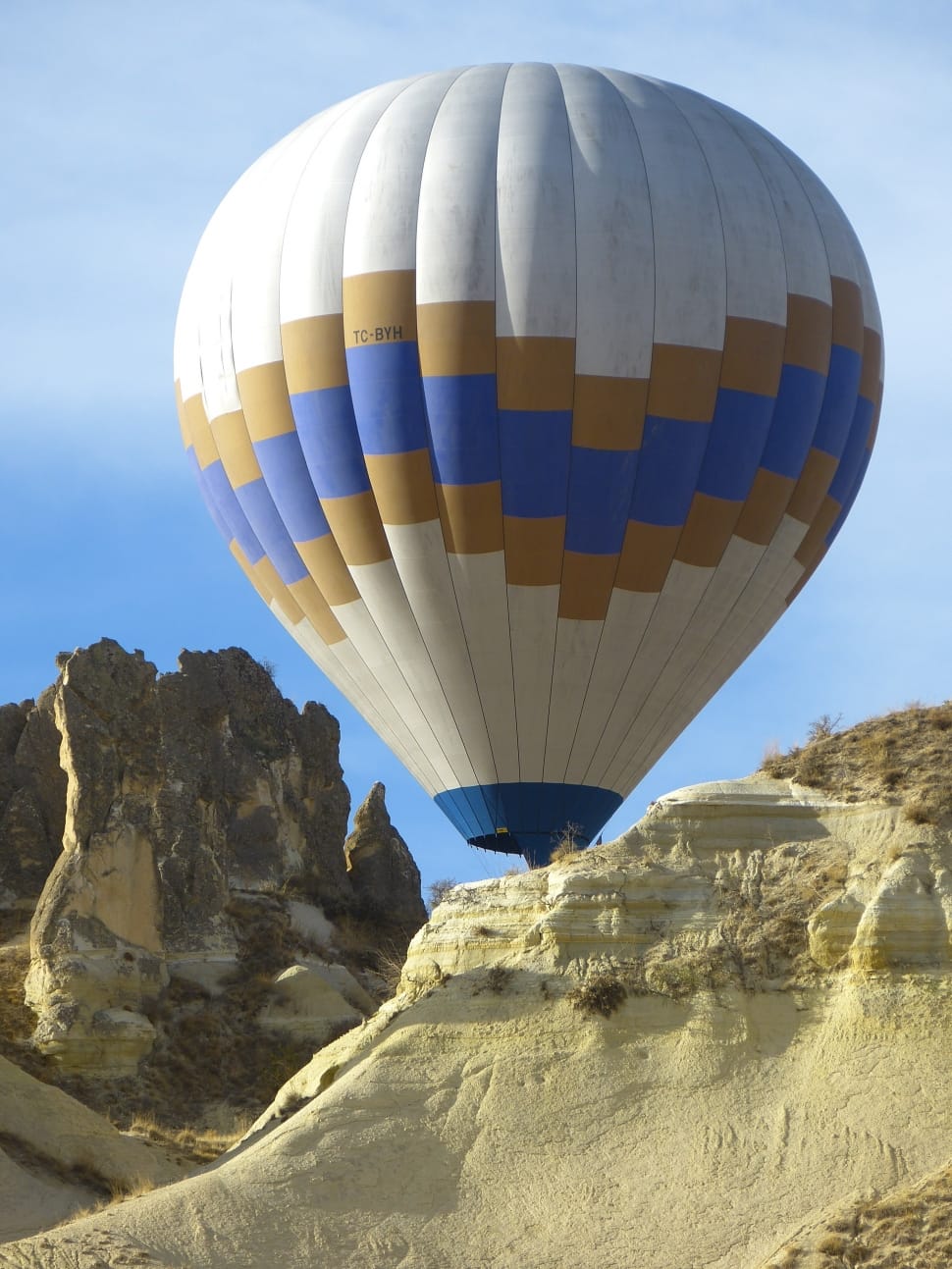 blue brown and white hot air balloon preview