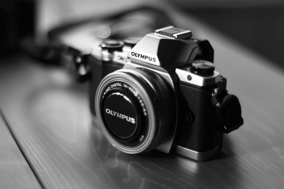 olympus point and shoot camera preview