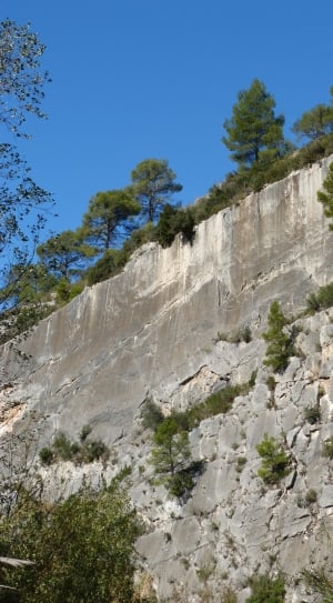 gray stone mountain with green trees thumbnail