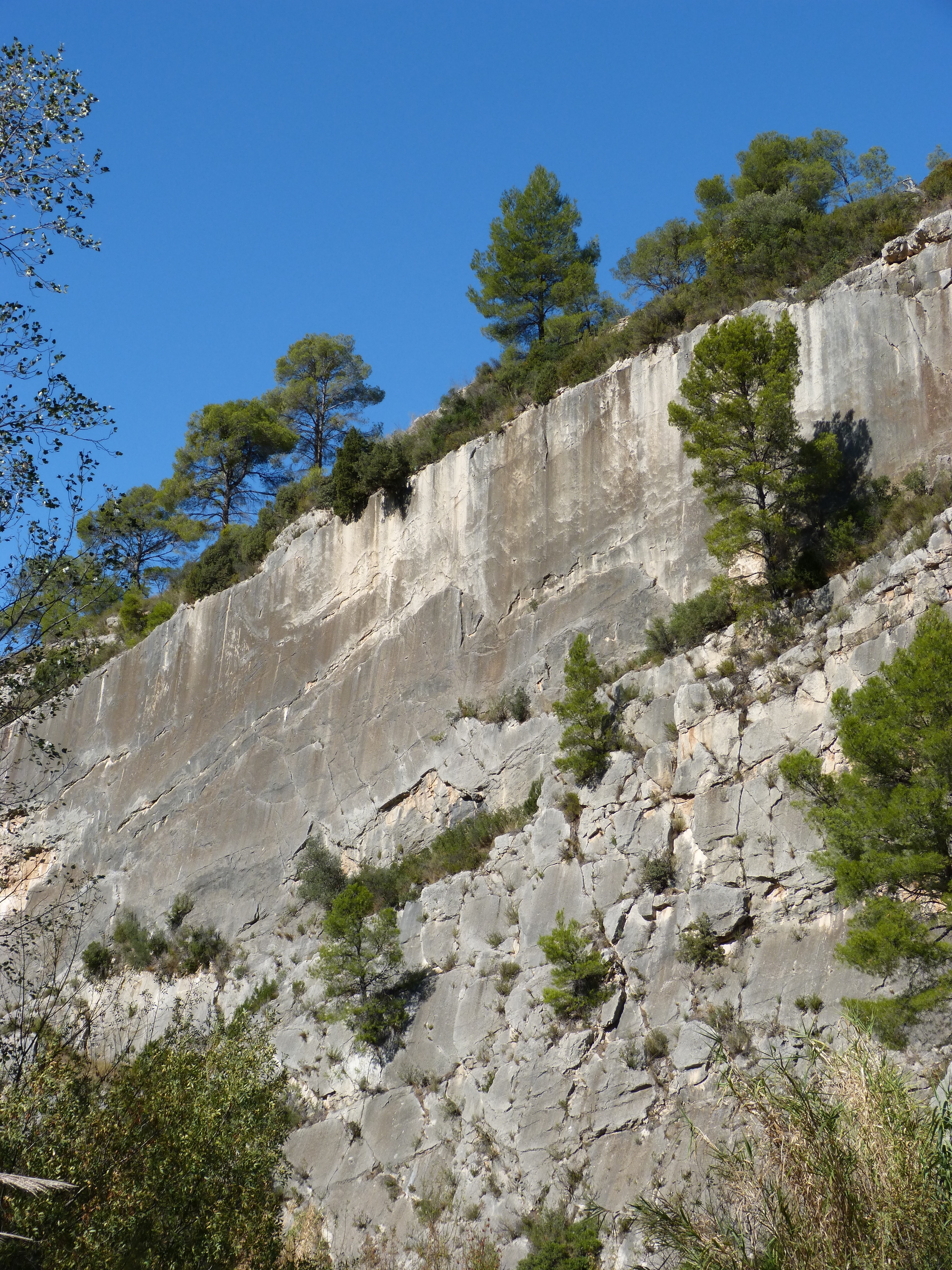 gray stone mountain with green trees