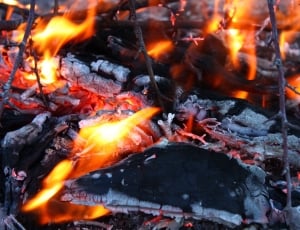 Fire, Heat, Hot, Flame, Embers, Flames, fire - natural phenomenon, flame thumbnail