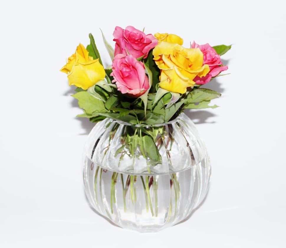 Vase, Crystal Vase, Roses, Yellow, Pink, flower, studio shot preview
