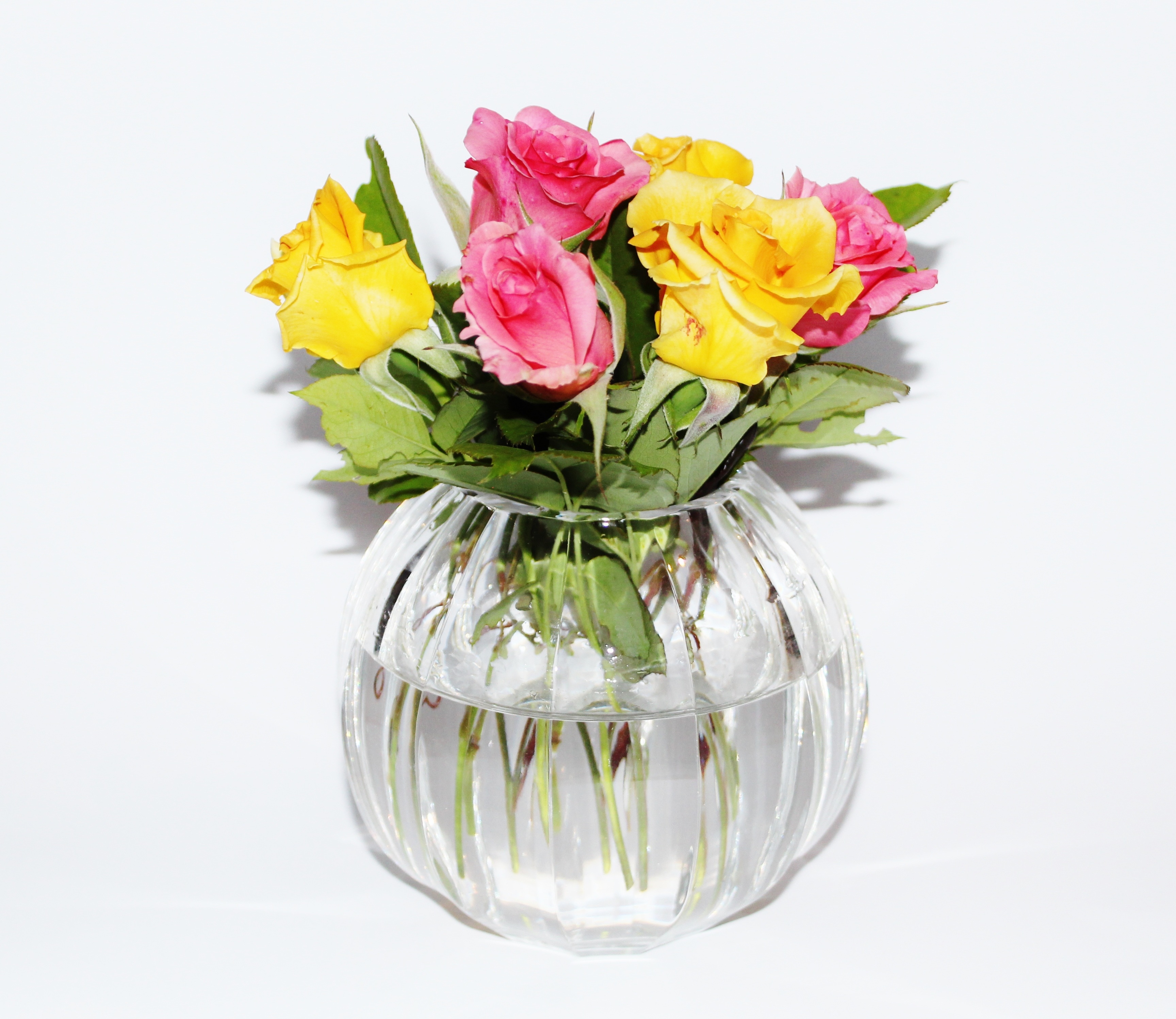 Vase, Crystal Vase, Roses, Yellow, Pink, flower, studio shot