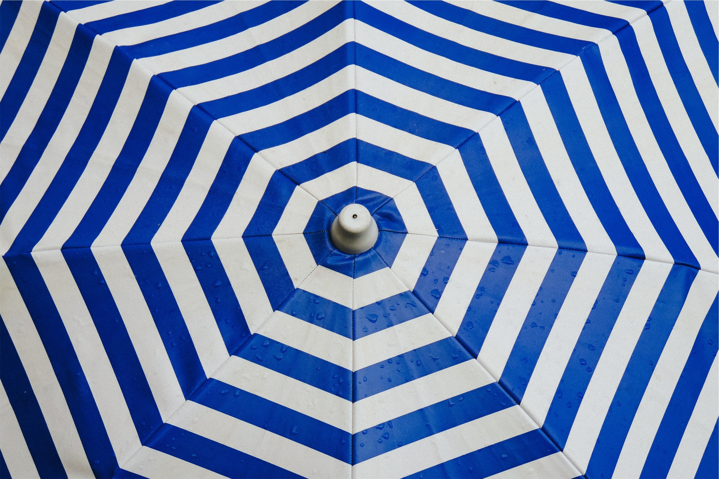 blue and white chevron umbrella