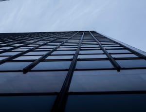 one world trade center low angle photo thumbnail