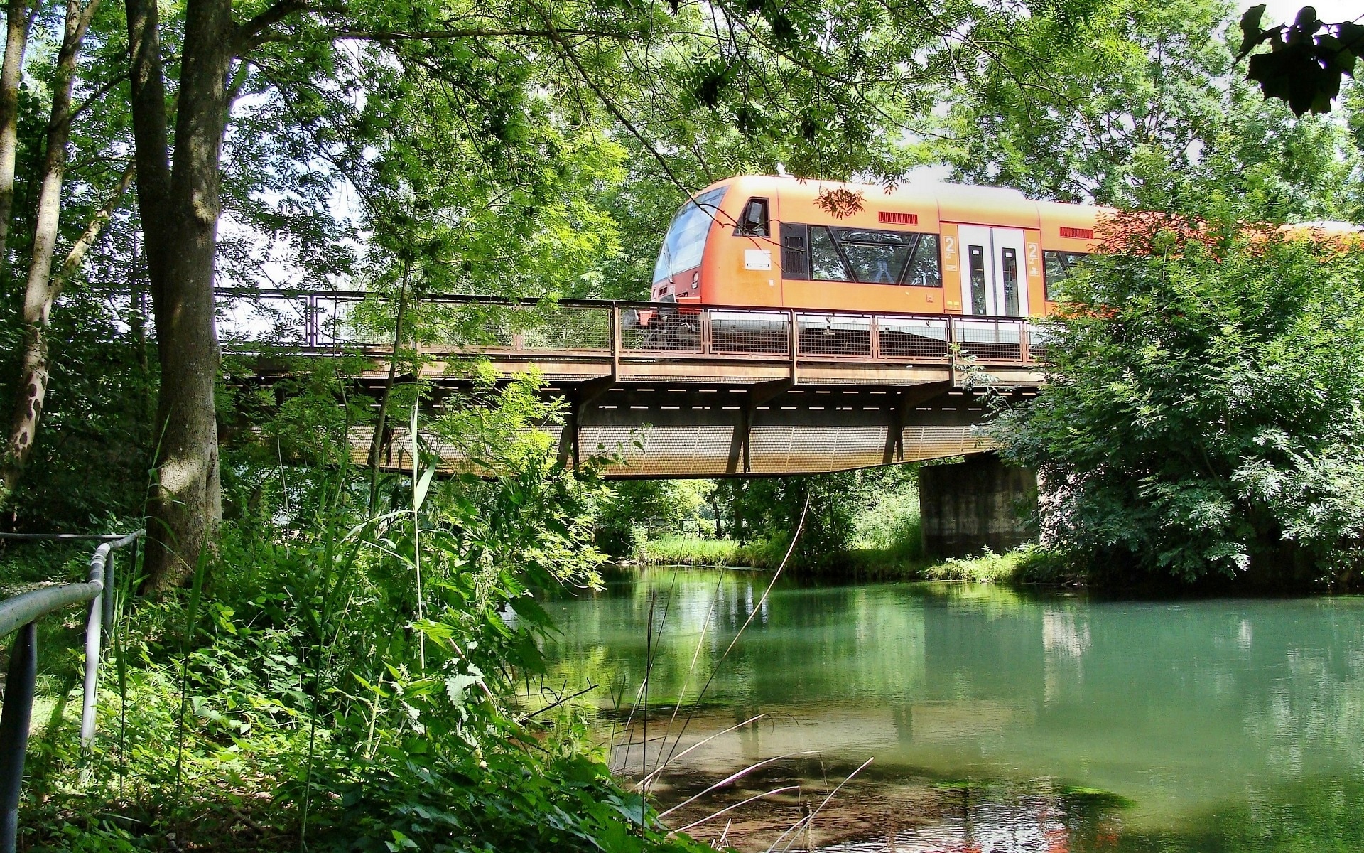 orange train