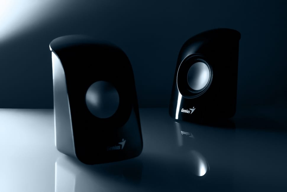 two black-and-gray audio speakers preview