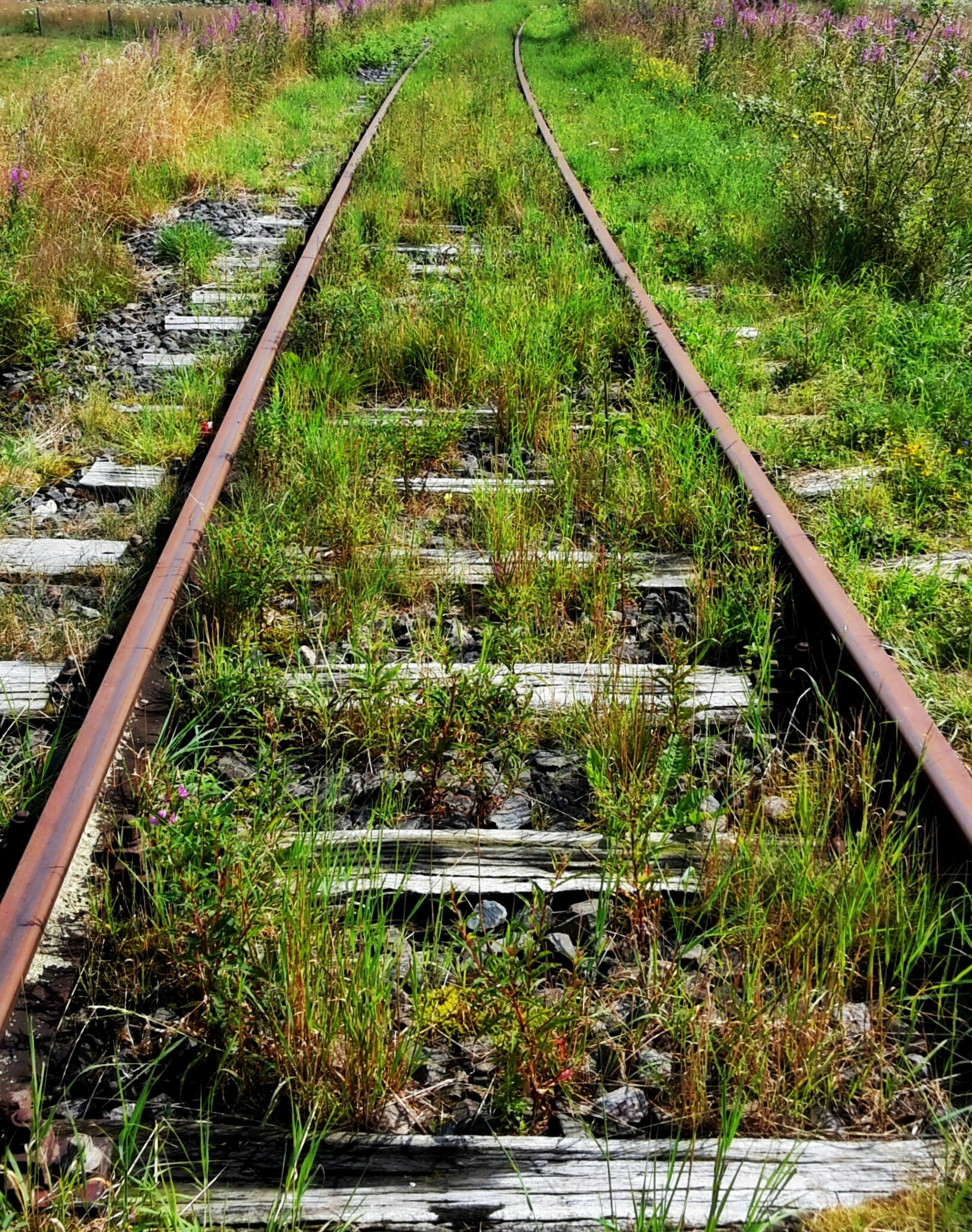 brown and grey train rail