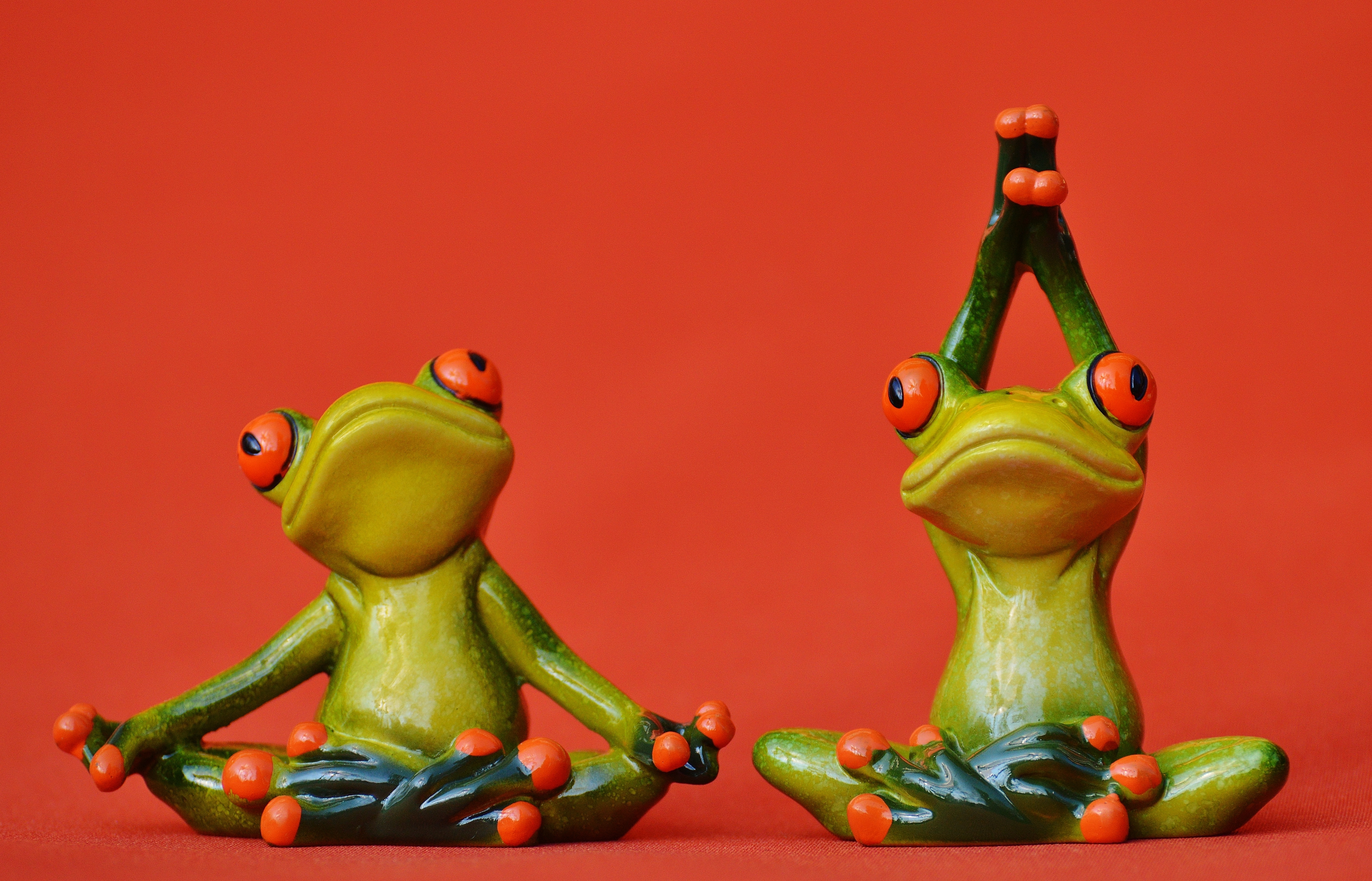 Gymnastics, Yoga, Funny, Frogs, Fig, food and drink, colored background