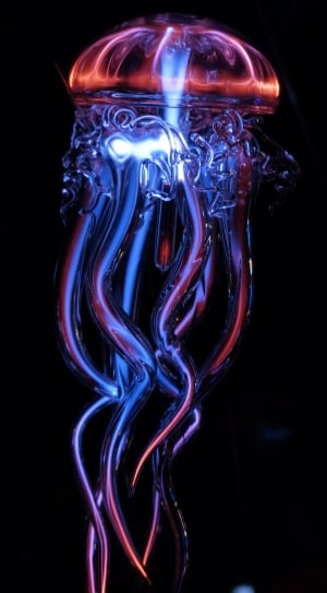 Luminous Jellyfish, Light, Jellyfish, shape, swirl thumbnail