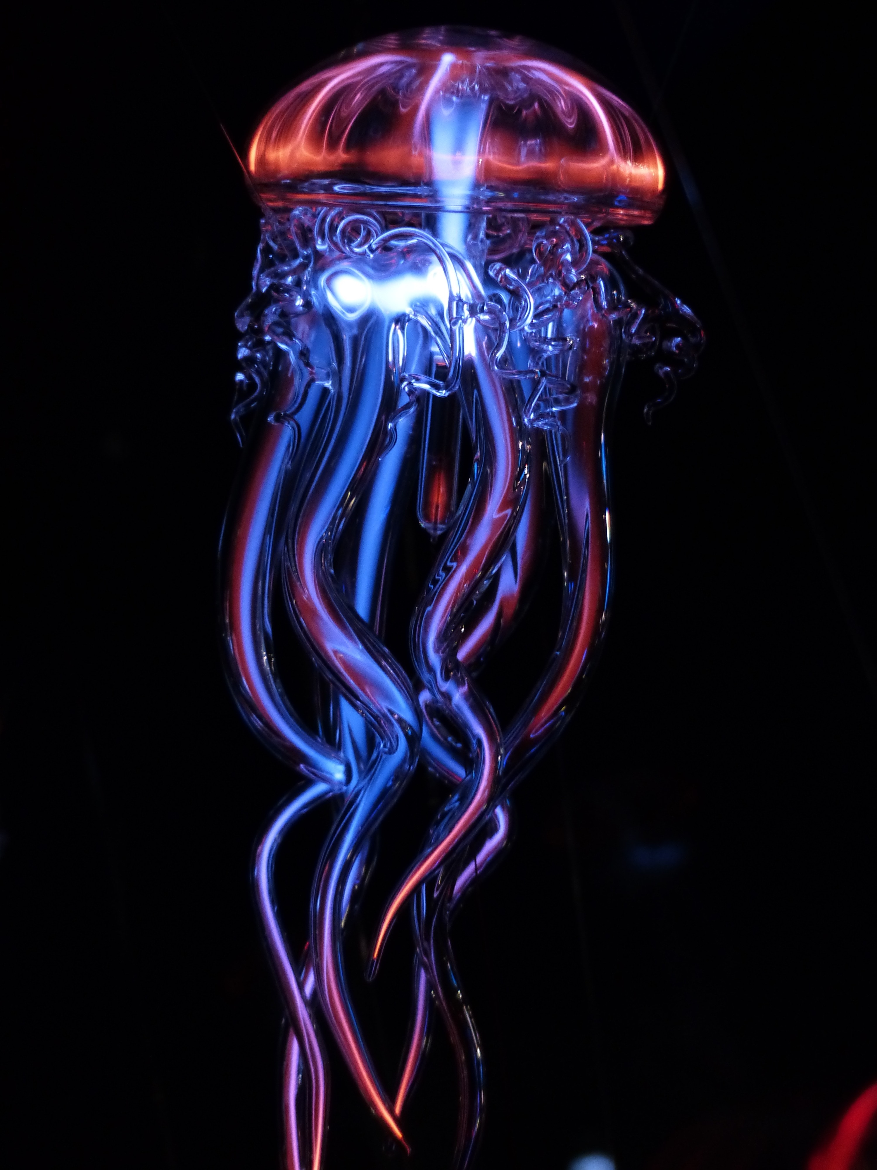 Luminous Jellyfish, Light, Jellyfish, shape, swirl