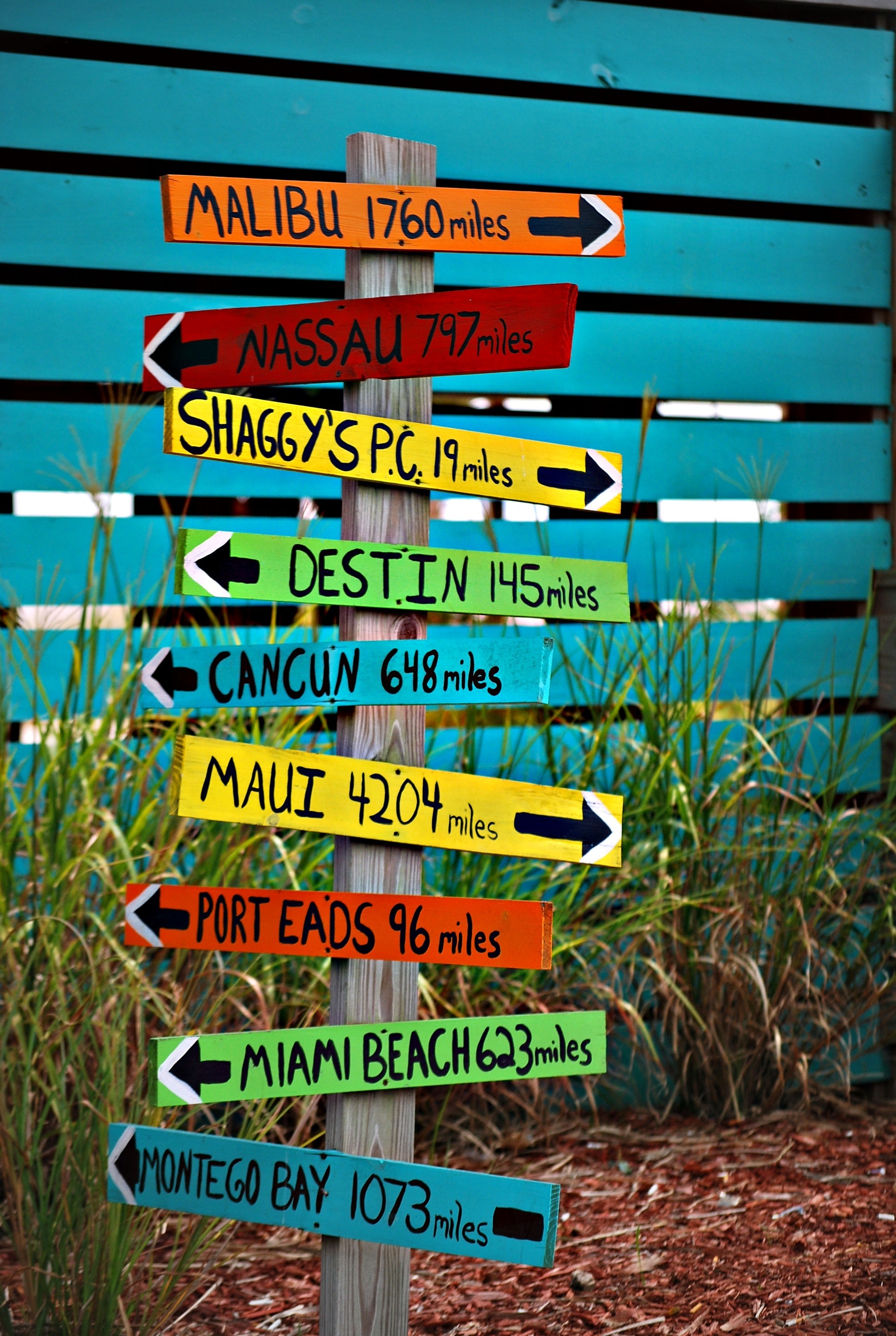 assorted wooden road signages
