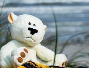 white bear plush toy on green grass thumbnail