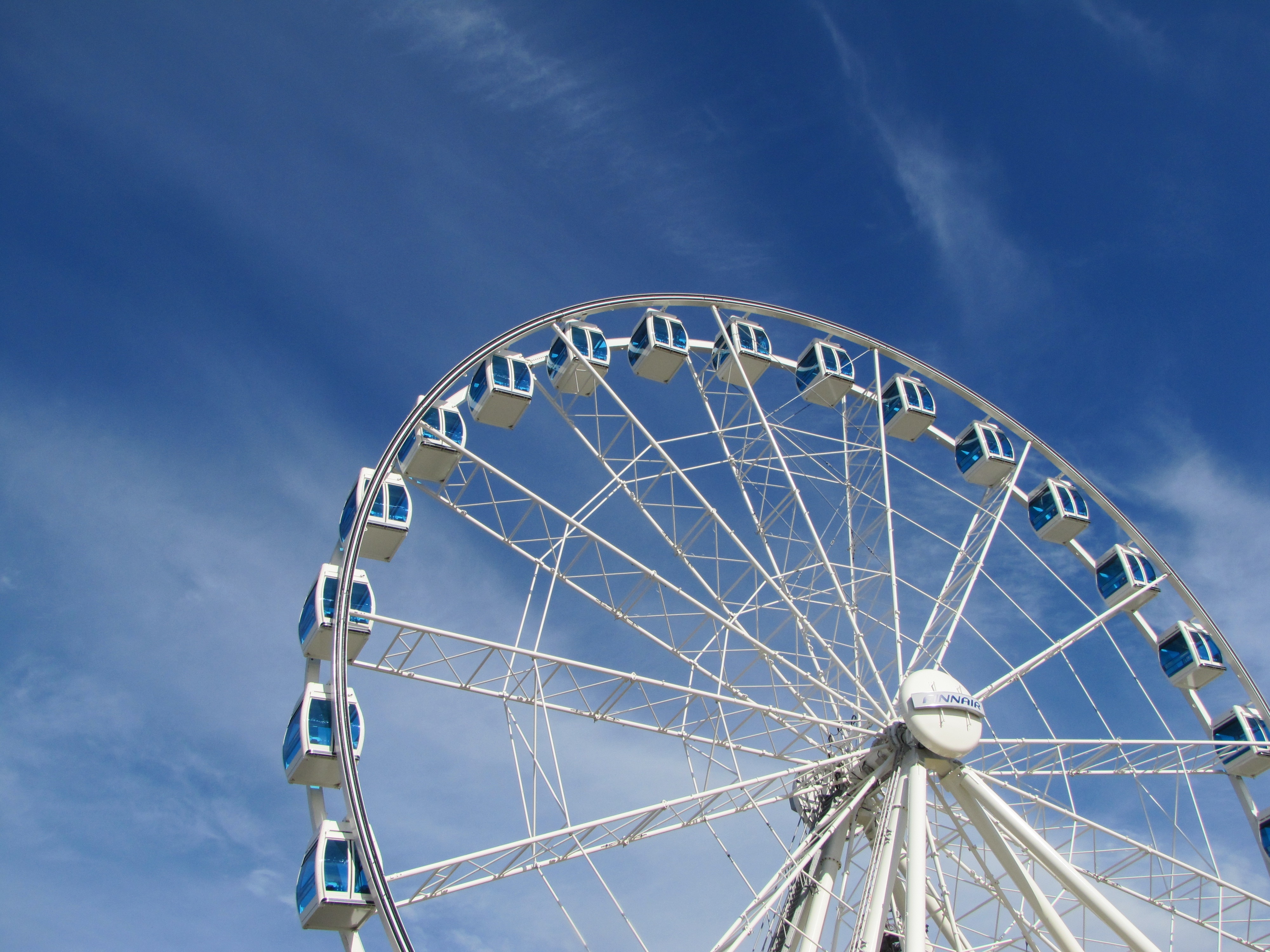 white and blue ferris wheel