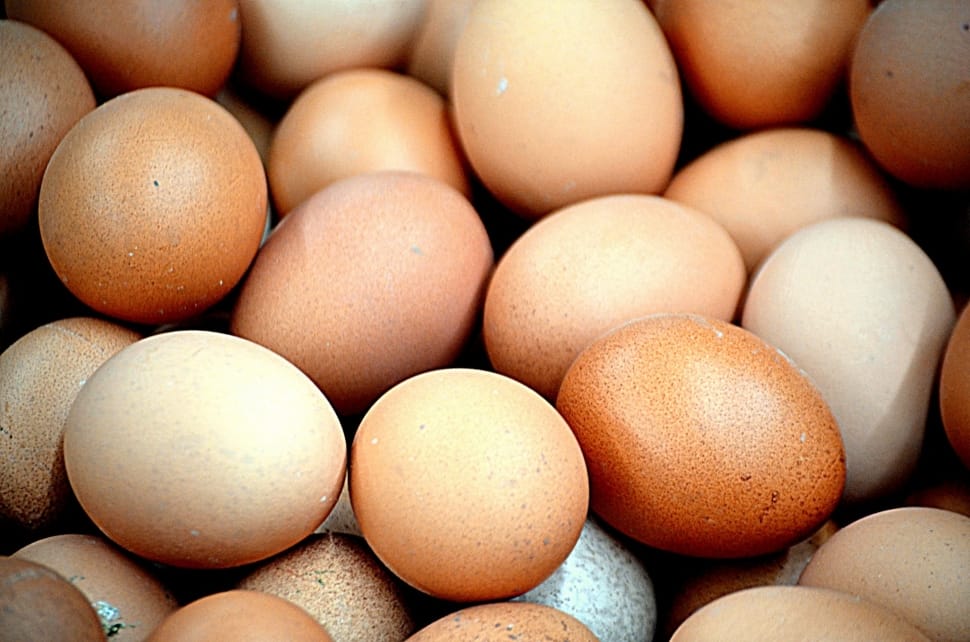 Food, Animals, Chicken Eggs, Eggs, egg, food and drink preview