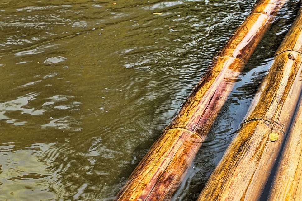 Drive, Water, Swim, Raft, River, Bamboo, wood - material, no people preview