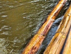 Drive, Water, Swim, Raft, River, Bamboo, wood - material, no people thumbnail