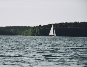 white sailboat thumbnail