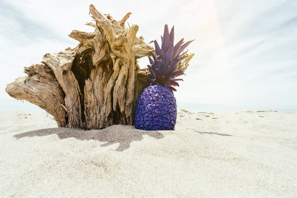 brown and purple pineapple on white sand preview