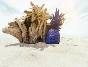 brown and purple pineapple on white sand thumbnail
