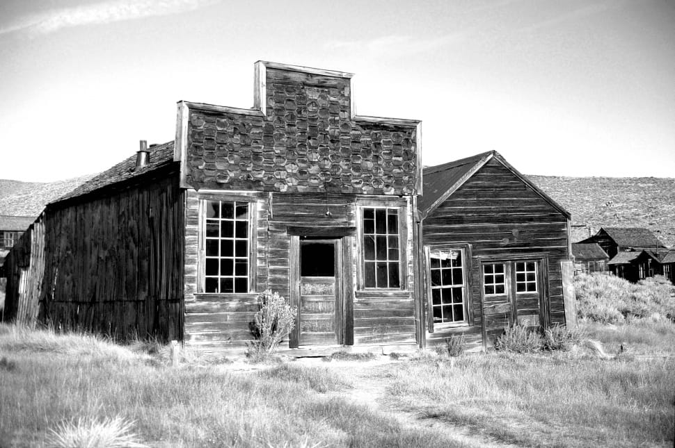gray scale photo of wooden house preview