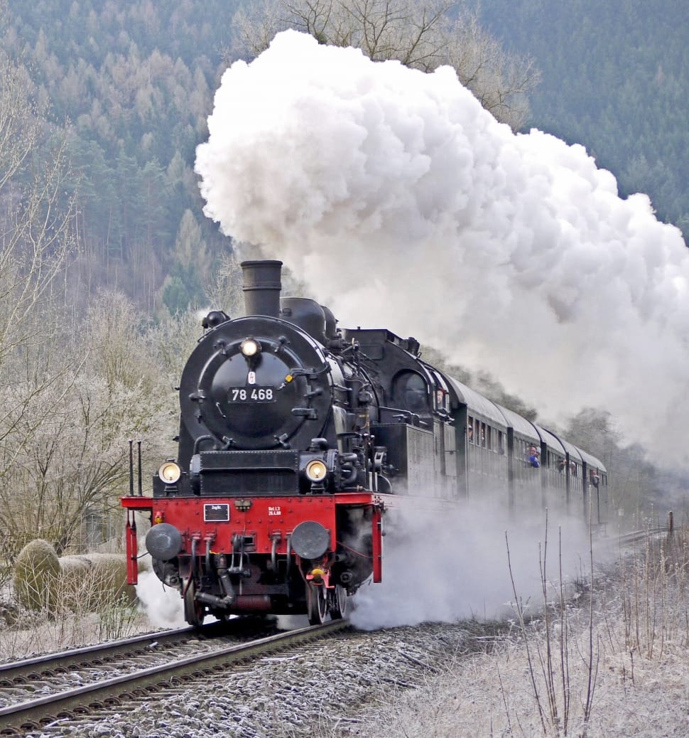 gray and red train preview